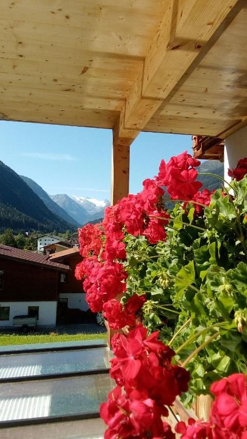 Fernerblick Neustift im Stubaital