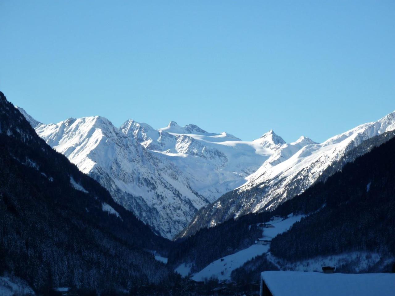 Fernerblick *